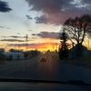 micayla_beck