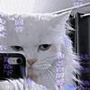 tommystory8