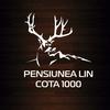 Pensiunea Lin Cota 1000