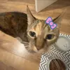 erin_13w