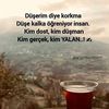 lazoglu_aytac