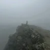 dxvid_531