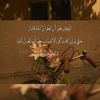roro30_11_88