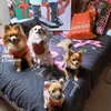 pawslivesmatter