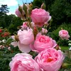 user8843610534311