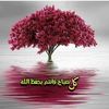 22marmar588