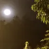 retnomulat9