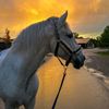 asmaasma_025