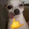chincho_thegoat