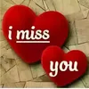 user4170573083