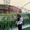 andiihalfianur
