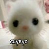 alixita_hashibira