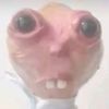 dannyhatestrainees