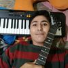 giraeldisco