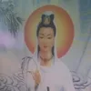 anh.le.song