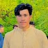 z_iaullah