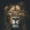 tigersaint01