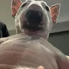 anhmunduocyeu