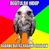kisseslupvshq