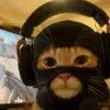 usersabzisnthere
