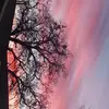 jacobpringle59