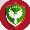 amedskofical21