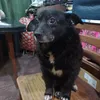 alfredo.vallejos863