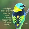 abdulauwal33