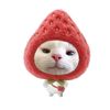strawbiess_00