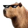 Capybara