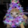 000_.christmas._