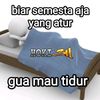 sesillstecu