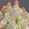 vyyvu0212