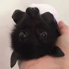 4thatartrat4