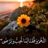 user497529704734