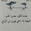 saydasifali192