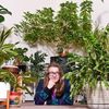 plantdaddyak