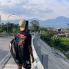 ex_al24