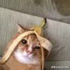 tuiladoki