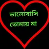 hafsha8556