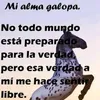 margarita.fernand28