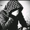 abod.hamed