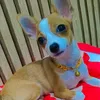 nam_nam140737