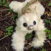 felineeeeeeee.e