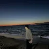 monzermohamed802