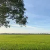 qingnan_06