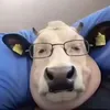 platinumlevelsockeater22