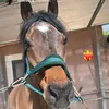 elpida96