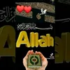 ravshan_yulchiev