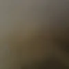 sana2383555760541